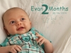 evan-2-month